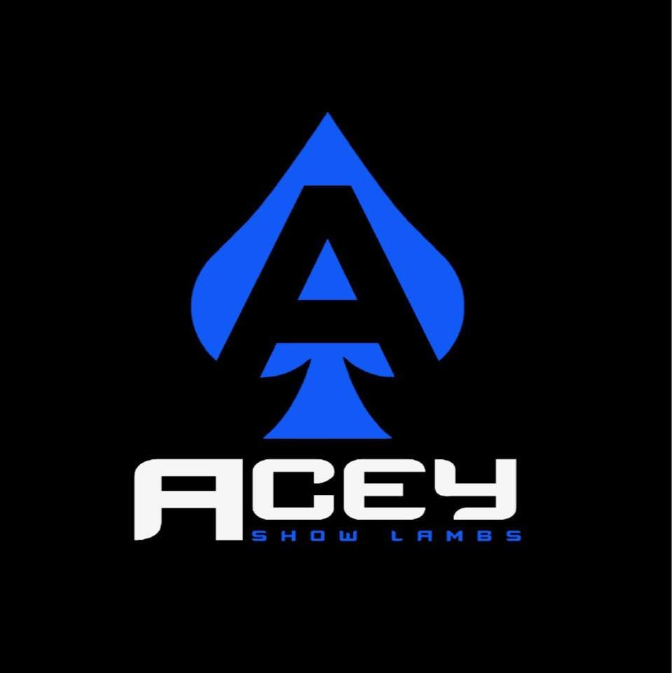 Acey Show Lambs logo