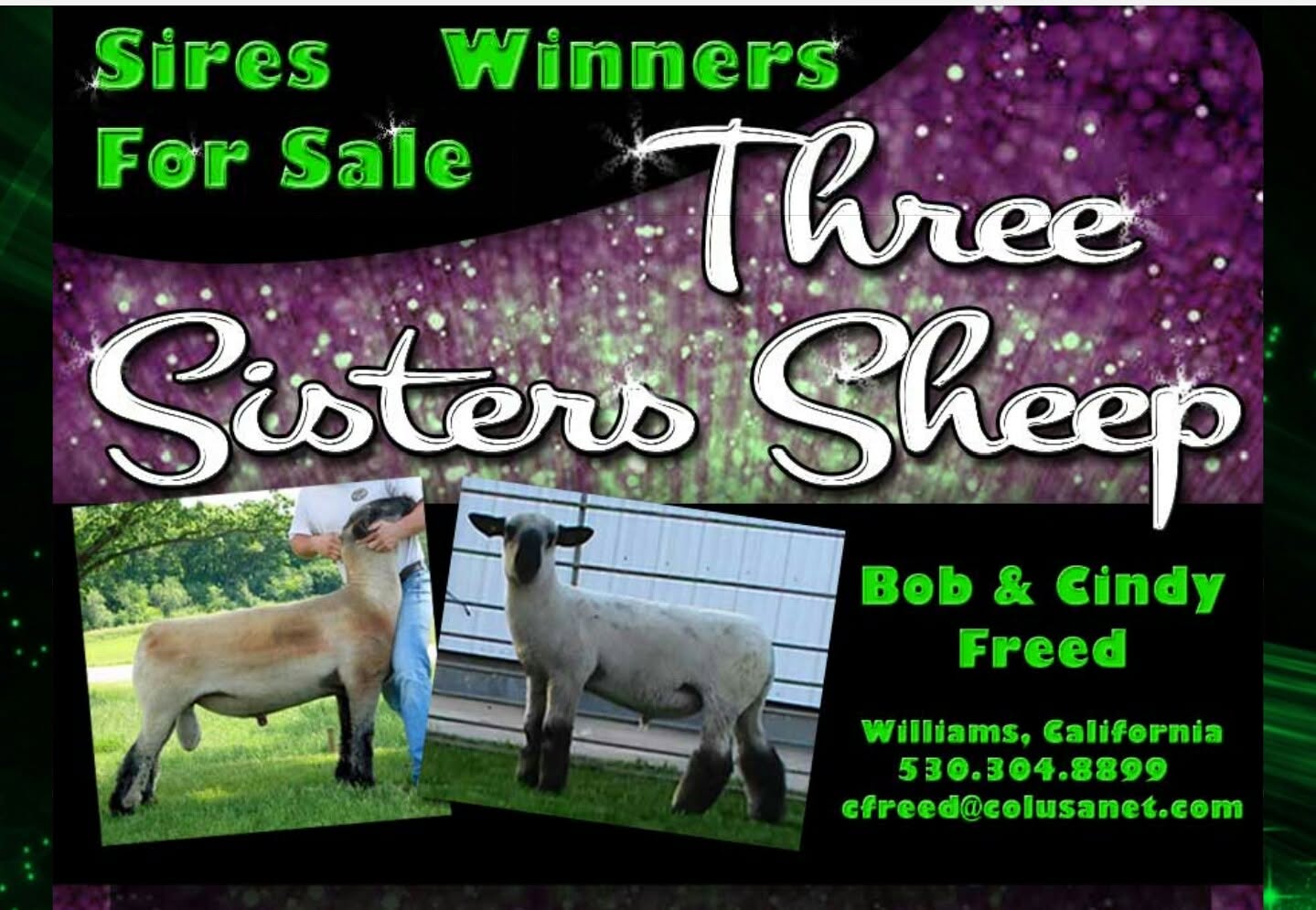 3 Sisters Sheep logo