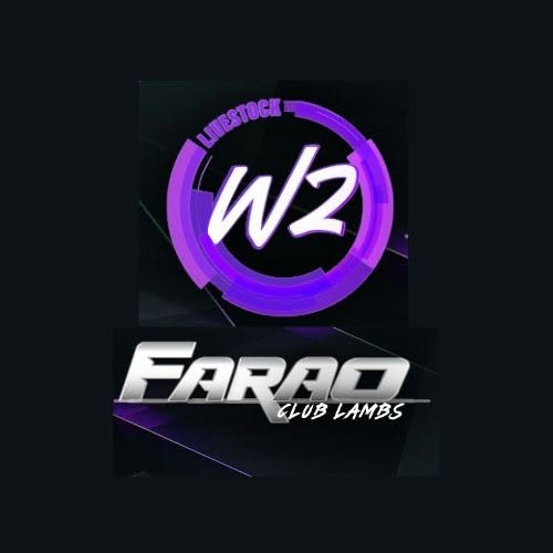 W2 Club Lambs logo